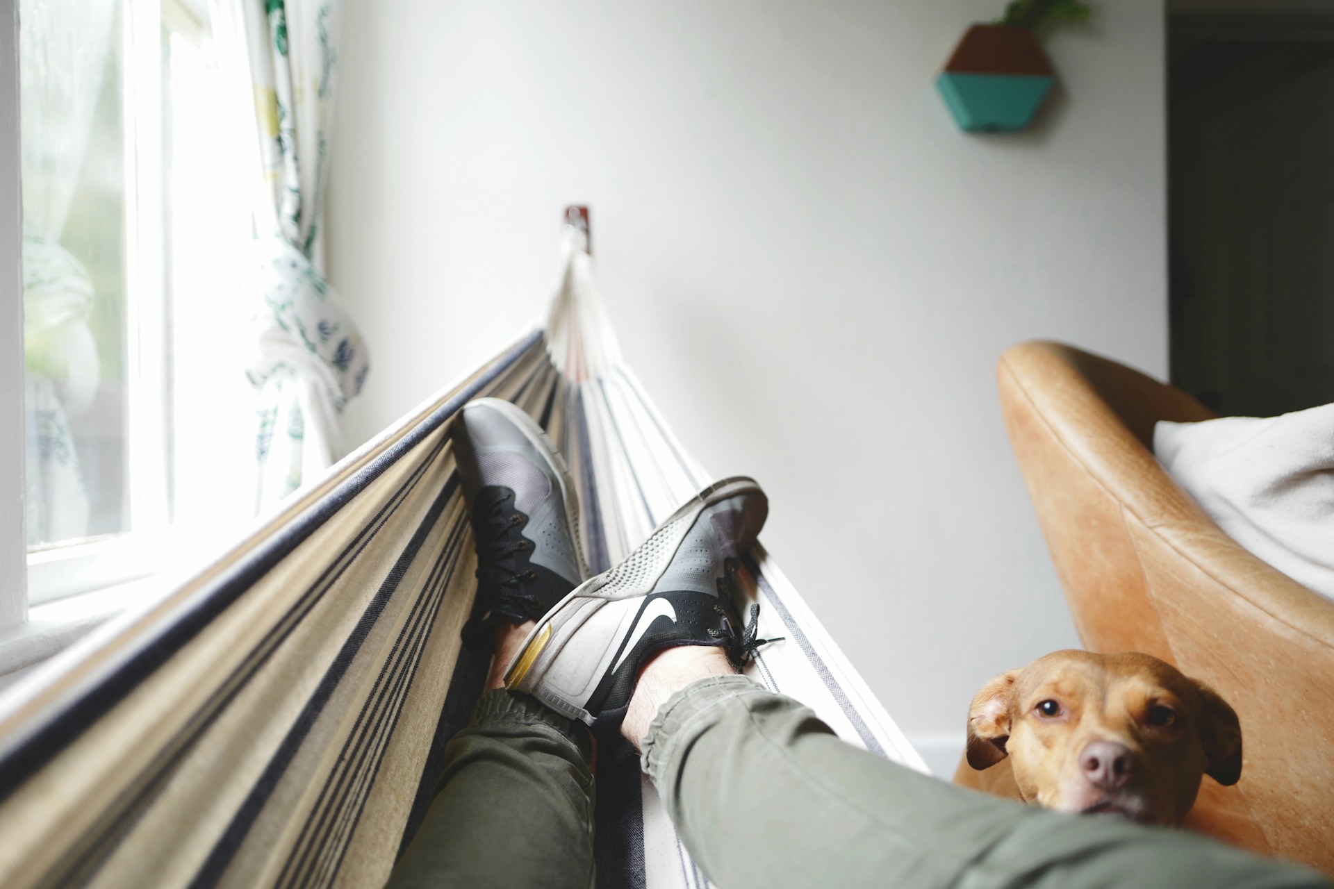 Downsizing Made Easy: A Guide for Baby Boomers
